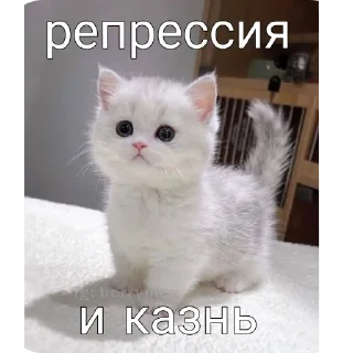 😒 emoji я кот и мне пох Telegram sticker 22 of 56