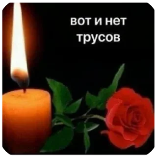 😉 emoji я кот и мне пох Telegram sticker 13 of 56