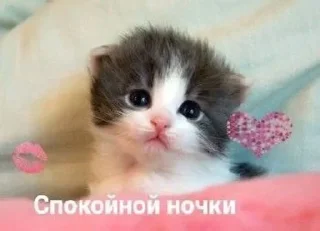 😴 emoji Пикче от Глоси Telegram sticker 11 of 16