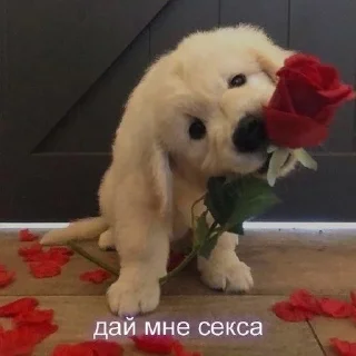 🌟 emoji Эмогирл Telegram sticker 17 of 50
