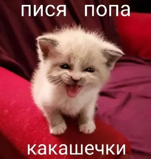 🌟 emoji Эмогирл Telegram sticker 22 of 50