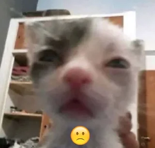 🌟 emoji я вообще пидор Telegram sticker 6 of 36