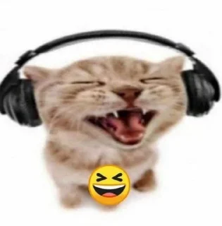🌟 emoji я вообще пидор Telegram sticker 24 of 36