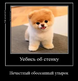 🌟 emoji я вообще пидор Telegram sticker 13 of 36