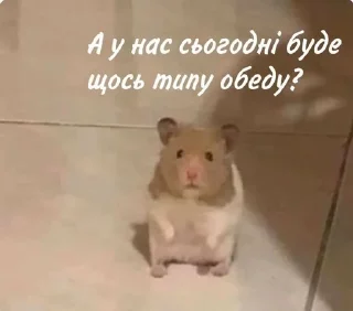 ❔ emoji Слава Україні!💙💛@mihrinissa Telegram sticker 13 of 59