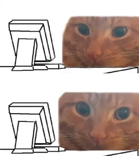 🌟 emoji Котьк Telegram sticker 19 of 79
