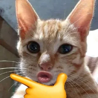 Sticker from Котикс