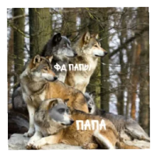 Sticker from тринадцать стай