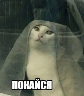 😒 emoji myrmyrmyr Telegram sticker 17 of 61