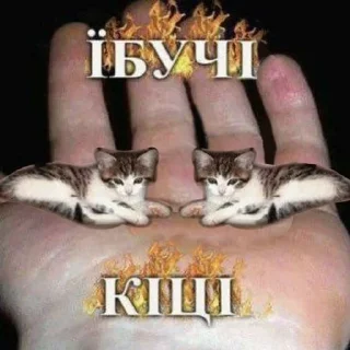 Sticker from Мєми