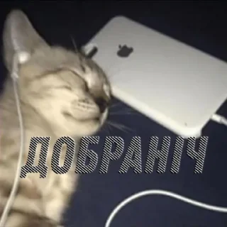😴 emoji Мєми Telegram sticker 18 of 58