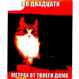 Sticker from Тык;: @vyfanekrytoi