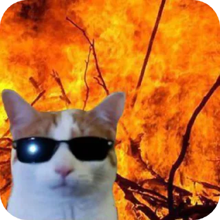 😎 emoji Кидс Telegram sticker 5 of 48