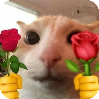 ❤ emoji Кидс Telegram sticker 18 of 48