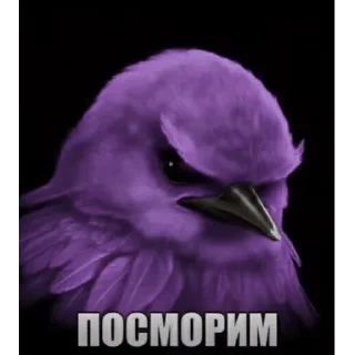 🐦 emoji Вряд-ли Telegram sticker 8 of 120