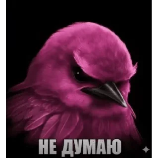 🐦 emoji Вряд-ли Telegram sticker 6 of 120