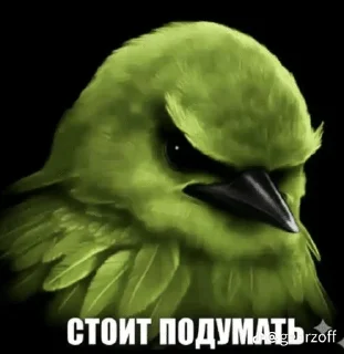 🐦 emoji Вряд-ли Telegram sticker 12 of 120