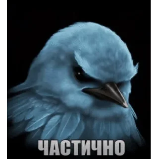 🐦 emoji Вряд-ли Telegram sticker 7 of 120