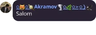 Sticker from #a𝚔𝕣𝐚ᴍOv̑̈ 🖤🌚 tg @AkramovZdes