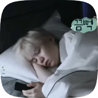 🛏 emoji Minimin @bangtan_lw Telegram sticker 23 of 48