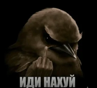 🌟 emoji Птицы сомнения 2 @joziesittv Telegram sticker 9 of 120