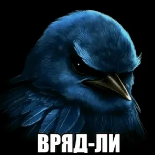 🌟 emoji Птицы сомнения @joziesittv Telegram sticker 21 of 120