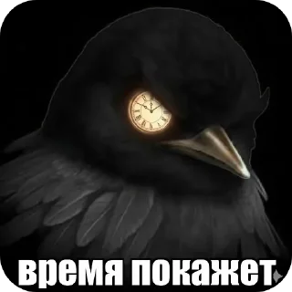 🎩 emoji Птицы Telegram sticker 22 of 98