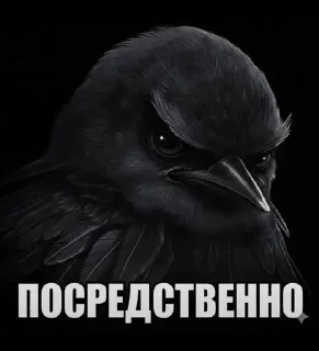 🌟 emoji Птицы сомнения @joziesittv Telegram sticker 9 of 120
