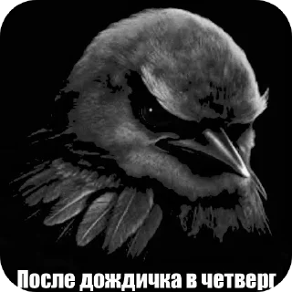 🐦 emoji Птицы Telegram sticker 23 of 98