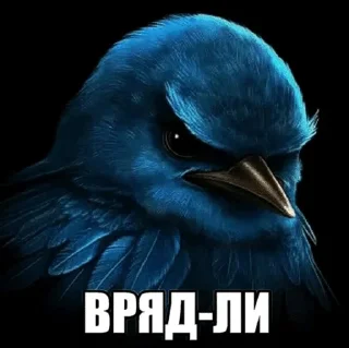 🌟 emoji Птицы сомнения @joziesittv Telegram sticker 12 of 120