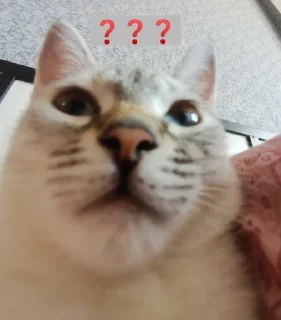 ❓ emoji Ириска и кваська Telegram sticker 17 of 30