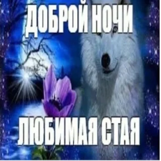 Sticker from В залупу!!!