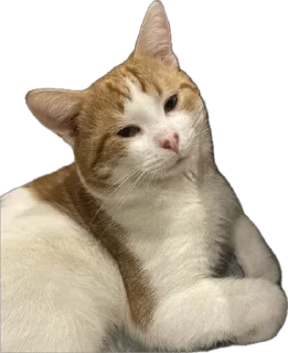 🌟 emoji Вазамат 2.0 Telegram sticker 22 of 58