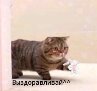 🌟 emoji для любимых!! <3 Telegram sticker 14 of 50