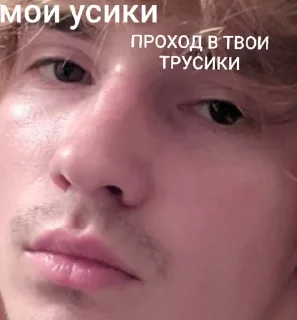 😏 emoji ДайВинчик Telegram sticker 7 of 42