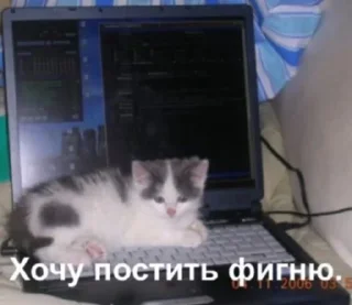 💘 emoji хуйня Telegram sticker 5 of 94