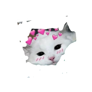 💤 emoji Как хочу я Telegram sticker 6 of 22