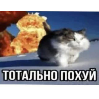 🐱 emoji дилдо Telegram sticker 7 of 120