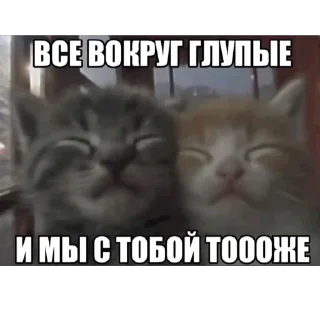 ❤ emoji ядалбаеп Telegram sticker 18 of 23