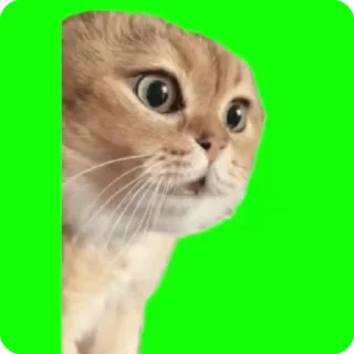 😠 emoji Katsisisisis Telegram sticker 18 of 23