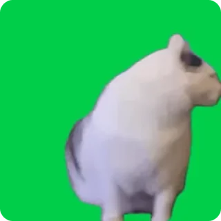 🤔 emoji Katsisisisis Telegram sticker 12 of 23