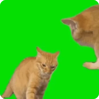 🤣 emoji Katsisisisis Telegram sticker 5 of 23