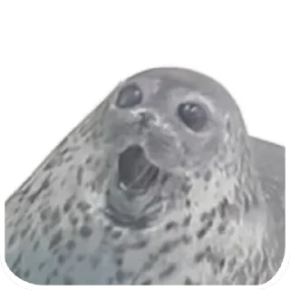🦭 emoji Тюлени @VolFRAM_WAREQ Telegram sticker 21 of 110