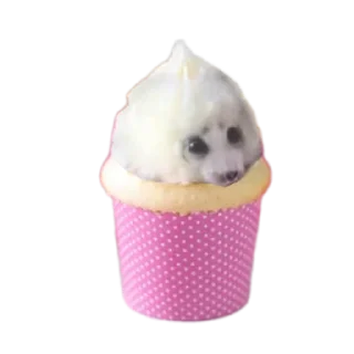 🤲 emoji ТЮЛЕНЬЧИКИИИ Telegram sticker 5 of 8