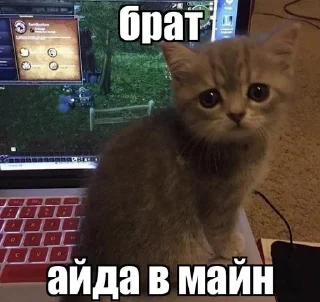 😎 emoji коты мухаха Telegram sticker 14 of 90