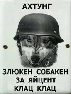 👿 emoji коты мухаха Telegram sticker 23 of 90