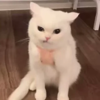 😠 emoji злой пидор и другие пидорасы Telegram sticker 23 of 115