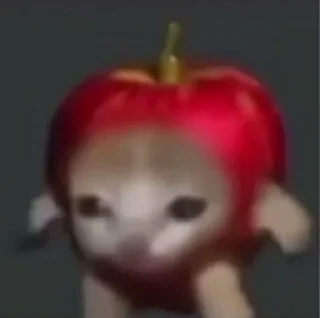 🍎 emoji Котики ^•^ Telegram sticker 18 of 94