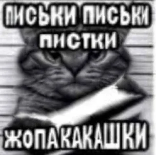 🌟 emoji Хуйня Telegram sticker 12 of 61