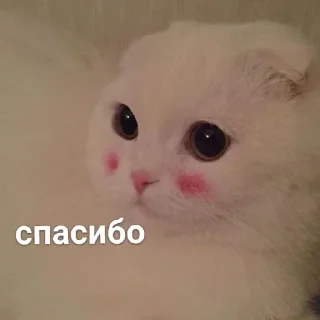 🥰 emoji Нюдсы души @nughope Telegram sticker 6 of 120